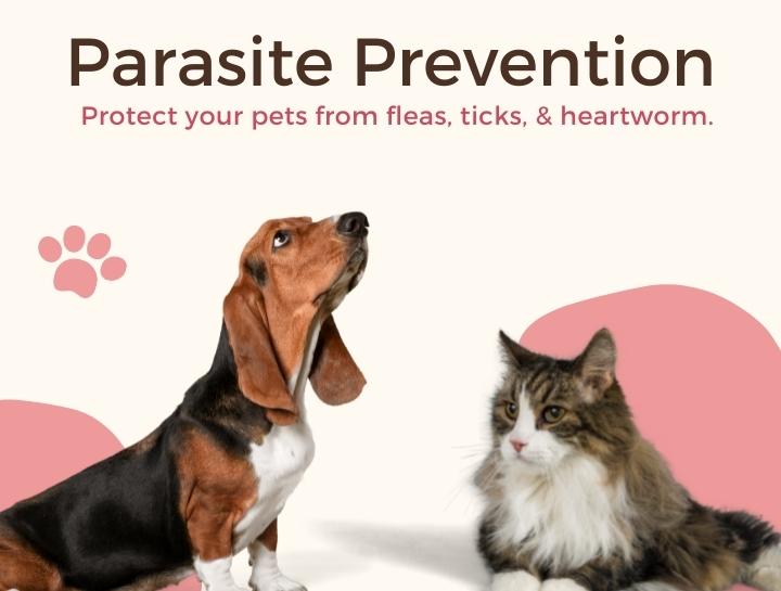 Parasite Prevention