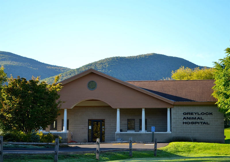 Carousel Slide 6: Greylock Animal Hospital, North Adams